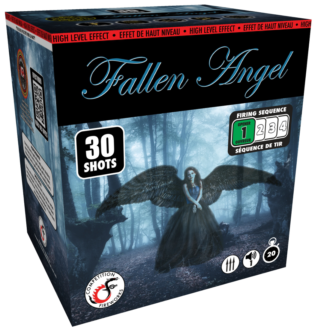 Competition Fireworks Cakes - Fallen Angel 3D